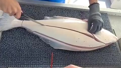 Fresh Fish