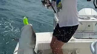 Incredible: Funny fishing