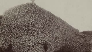 A Mountain of Skulls & The Tragic Past of Mental Institutions