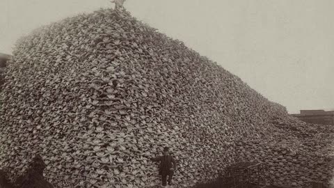 A Mountain of Skulls & The Tragic Past of Mental Institutions