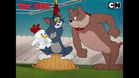 Tom & Jerry’s Fun Fest! #tomandjerry | Funny Cartoon video @ViralGiggles