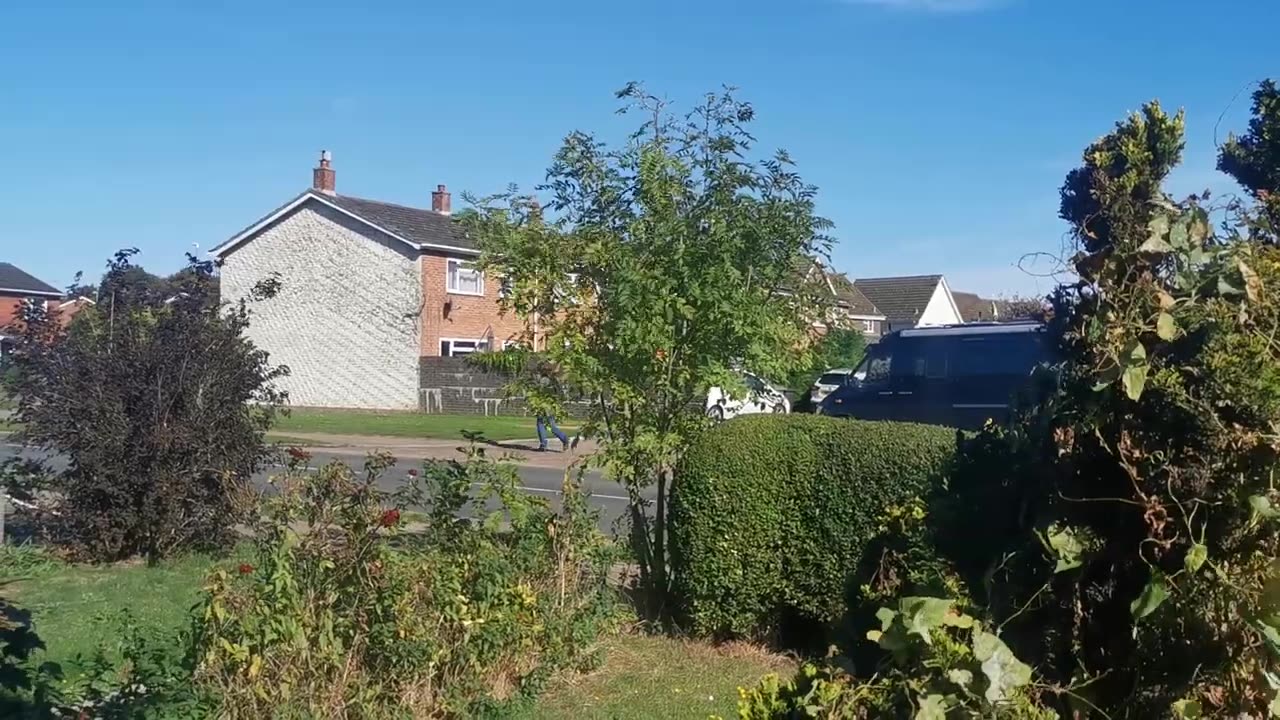 All in the Bag In Diss Norfolk UK Full of Monster Sandringham Serial Killer Lies