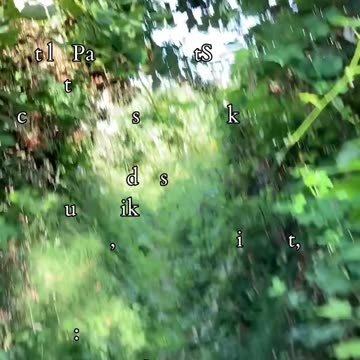 Threshold of Relationships | Path and Tarot Reading