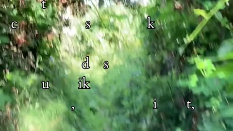 Threshold of Relationships | Path and Tarot Reading