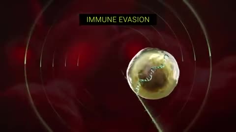 Vaccine dangers with annimations