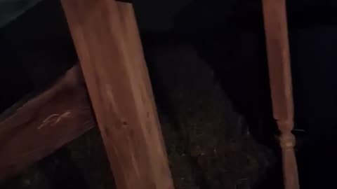 🔊🎧 What Sound is This? Mysterious Noise Caught on Camera... But Why? | TheHauntingHour