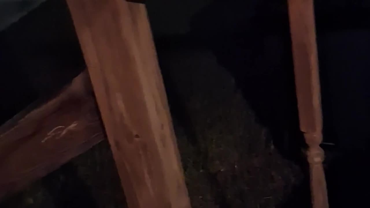🔊🎧 What Sound is This? Mysterious Noise Caught on Camera... But Why? | TheHauntingHour