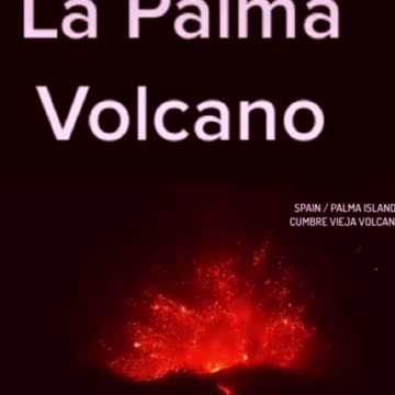 Tim Rifat TikTok videos