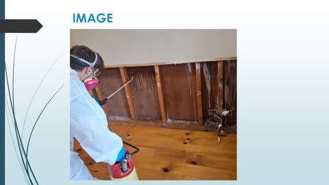 Best Hoard and Squalor Cleaner in Bracken Ridge