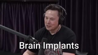 Elon check all the boxes