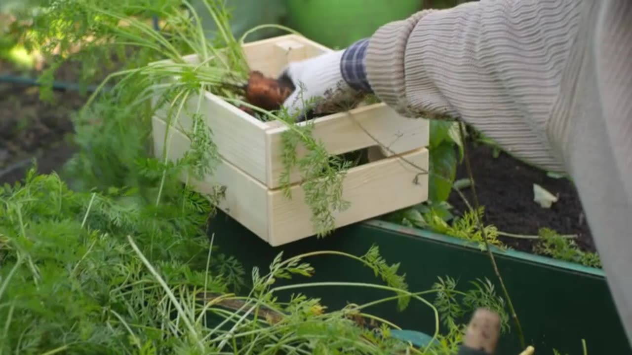 IW Archives 2021 Dec 23