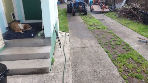 tractor factor