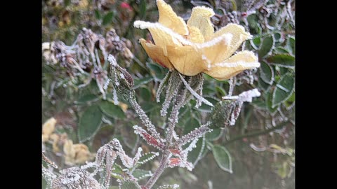 SolayasErkenntnisse - Bewusstsein - Spirit - 11-2021