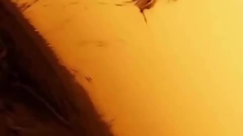 Are we seeing souls past through portals.