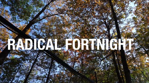 Radical Fortnight - Day 1 (starting January 15th)