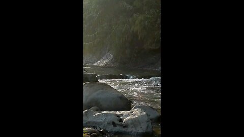 Daily Verse November 10th 2025