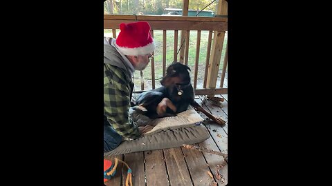 Doberman Gets Big Hugs… Then Instantly Gets the Zoomies 😂🐶