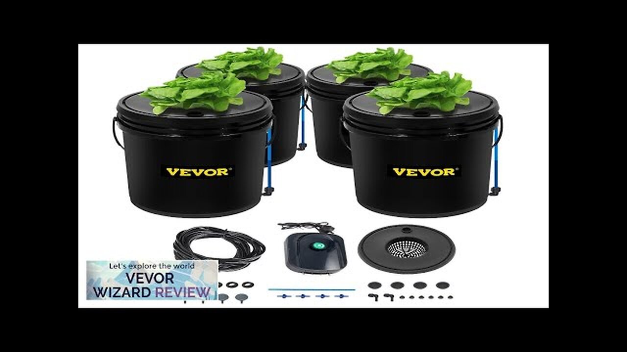 VEVOR DWC Hydroponic System 5 Gallon 4 Buckets Deep Water Culture Growing Review