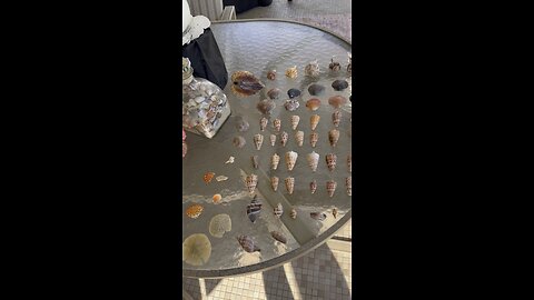 Beach Finds 11/20/2025 | 4K