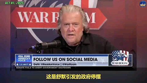 BANNON: I'm a huge believer in these government shutdowns.