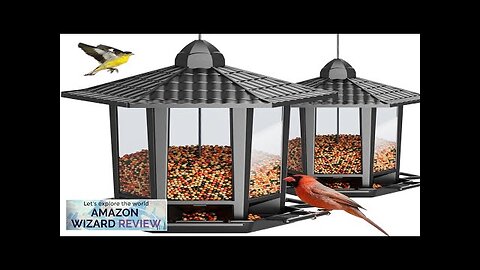 Birdream 2 Pack Bird Feeders for Outdoor Hanging Retro Pagoda Design Fun Review