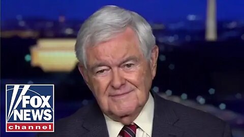 Newt Gingrich - Dems don't understand this.mp4
