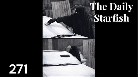 The Daily Starfish #271