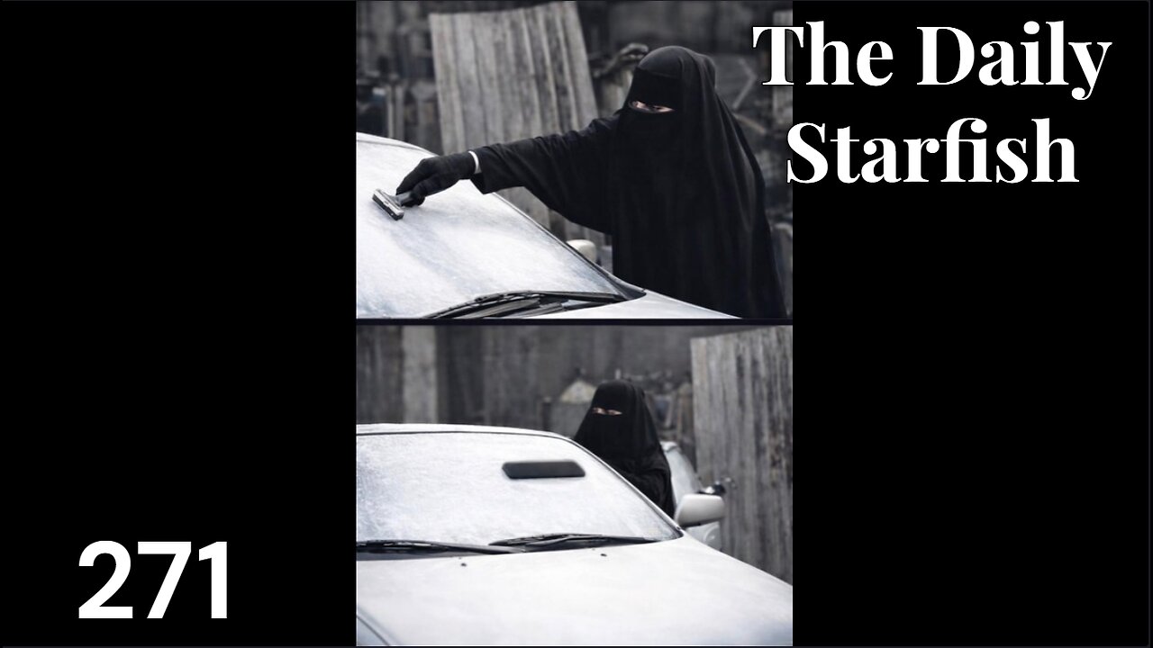 The Daily Starfish #271