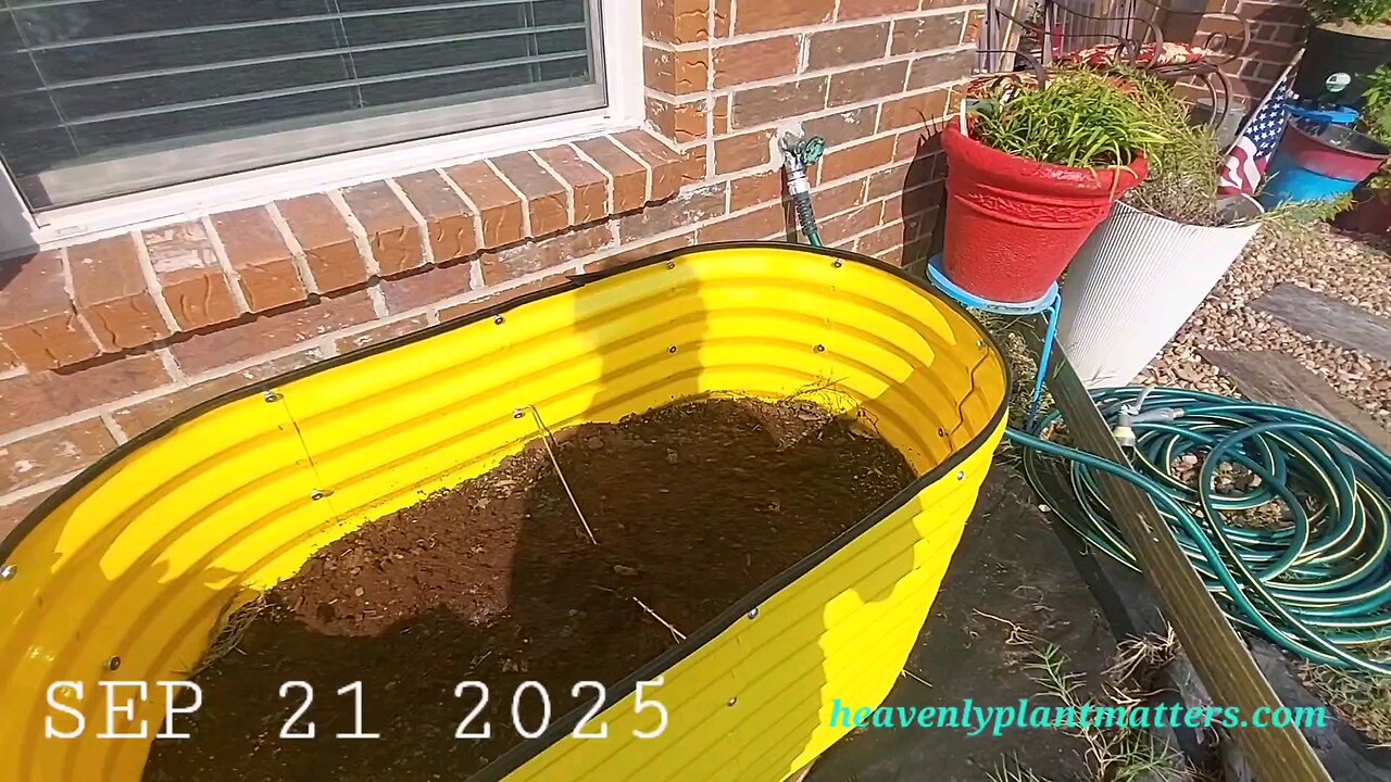 52 Sundays! Still cleaning up for fall!