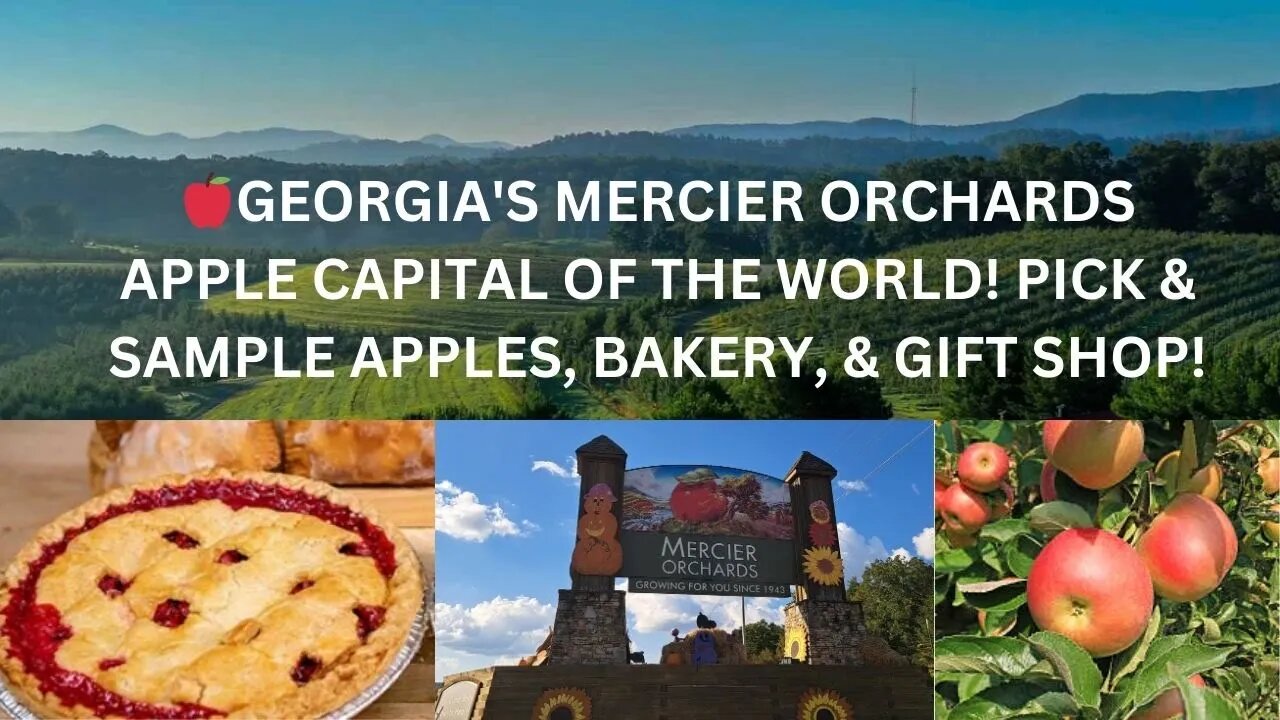 GEORGIA'S MERCIER ORCHARDS TAKE A FIELD TRIP, PICK & SAMPLE APPLES IN BLUE RIDGE! 60 MILES FROM ATL