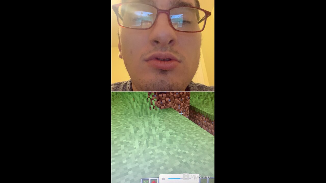 Playing Minecraft