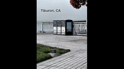 YOU CAN BE FINED FOR NOT RECYCLING - THEN WATCH WHAT HAPPENS