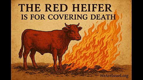 158 - Numbers 19 -The Red Heifer Is For Covering Death