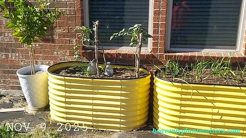 First Frost is on the Way!