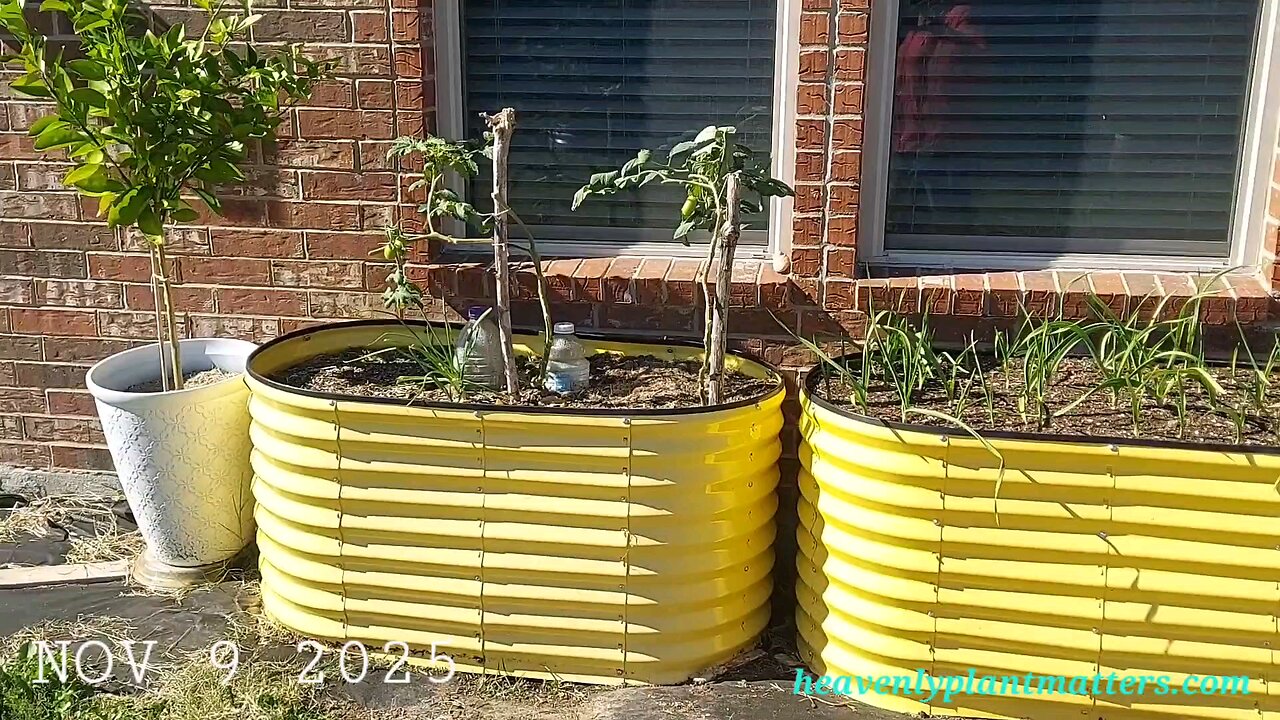 First Frost is on the Way!