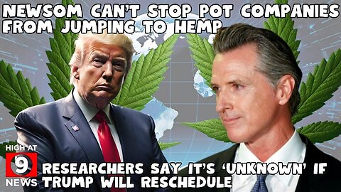 Gavin Newsom can't stop California's pot companies from jumping to hemp