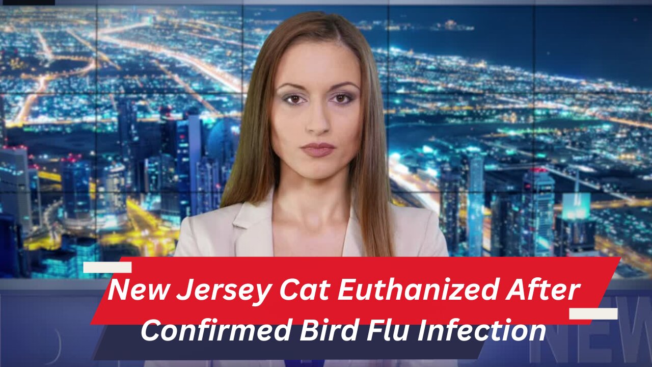 Bird Flu Detected in New Jersey Cat – Should Pet Owners Be Concerned?