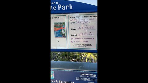 Livestream Replay | Manatee Park!