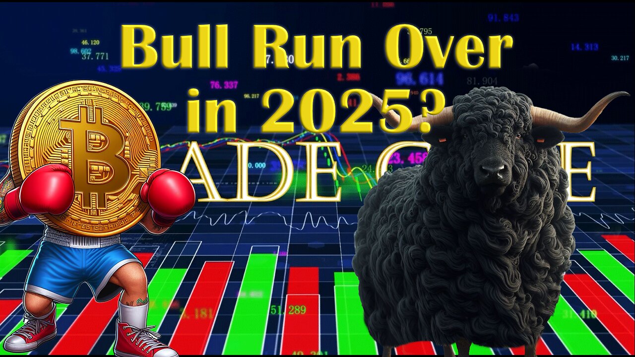 HAS THE DUST SETTLED? BULL RUN BACK ON?