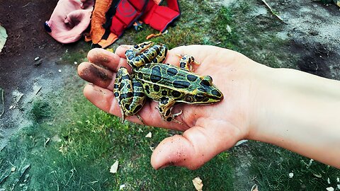 7 Kids + Mom Go Frog Hunting | Mississippi River Adventure – Day 47