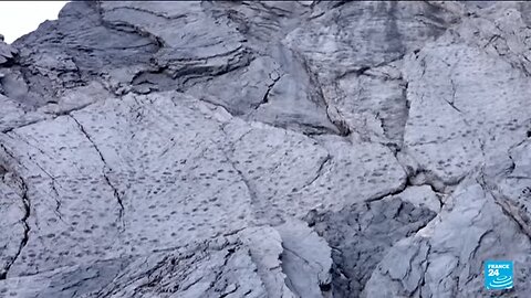 Italy: Thousands of dinosaur footprints discovered near Winter Olympics site