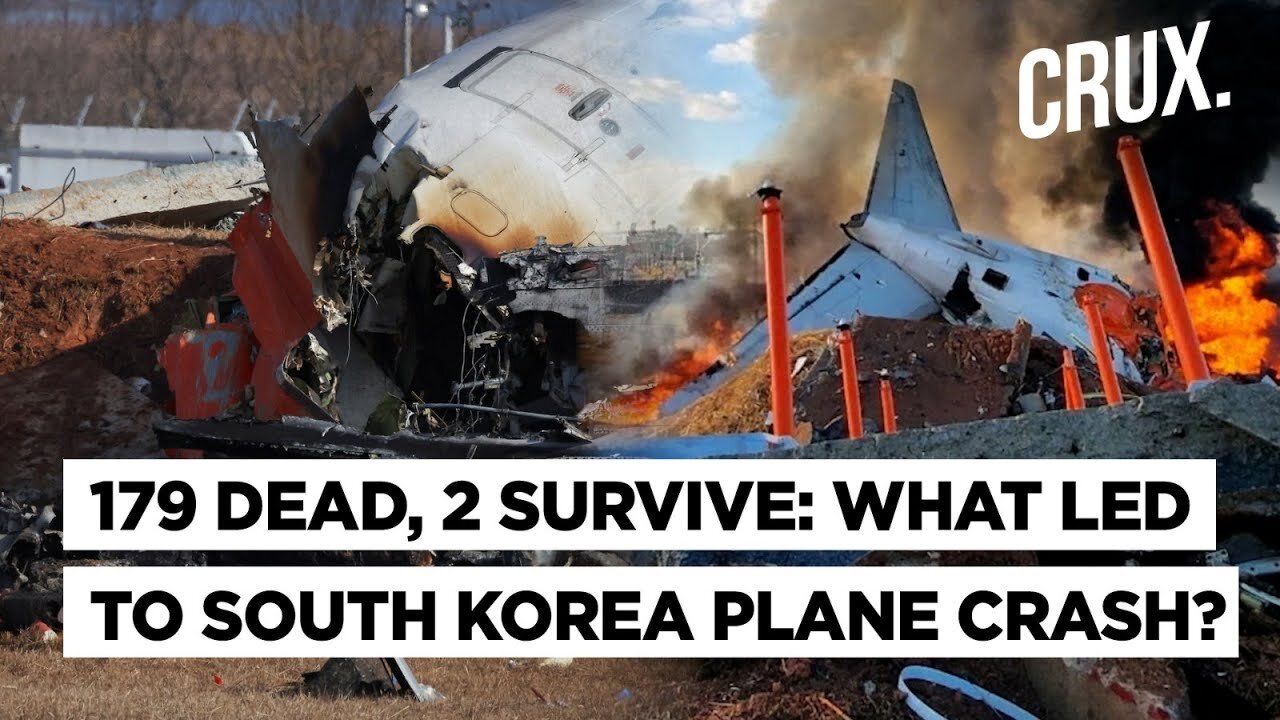 'Control Tower Warned Of...' Bird Strike, Bad Weather Forced A South Korea Plane To Crash Land