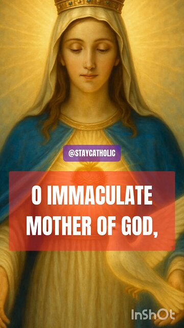 0 IMMACULATE MOTHER OF GOD PITY ME IN MY HELPLESSNESS AND LOOK UPON ME WITH A MOTHER'S MERCY #truth