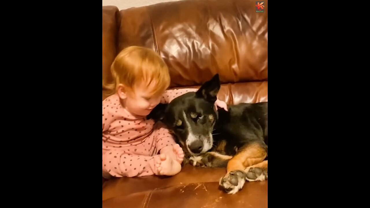 "A Sweet Moment: Kid Kisses Her Beloved Pet"