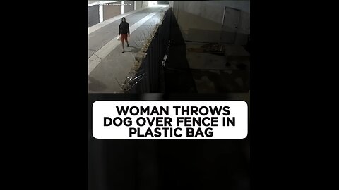 HEARTBREAKING: Woman Caught on Video Throwing Small Dog Over Fence in Anaheim