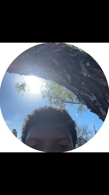 experience with my familia