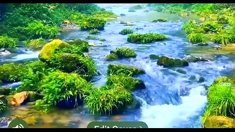 THE COST OF DISCIPLESHIP - DAILY DEVOTIONAL ❤️