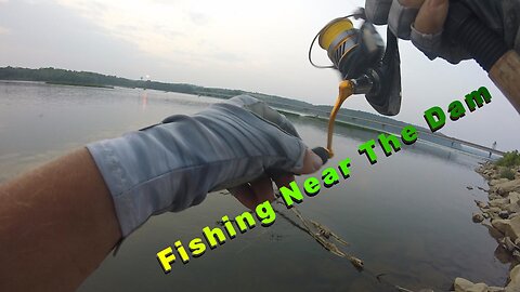 Fishing Near The Dam