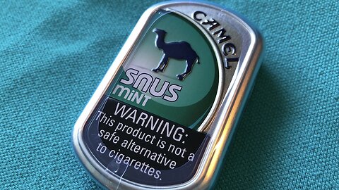 Camel "Snus" Mint Review