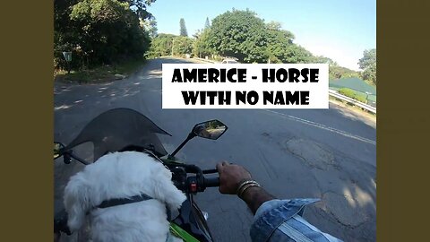 America - horse with no name